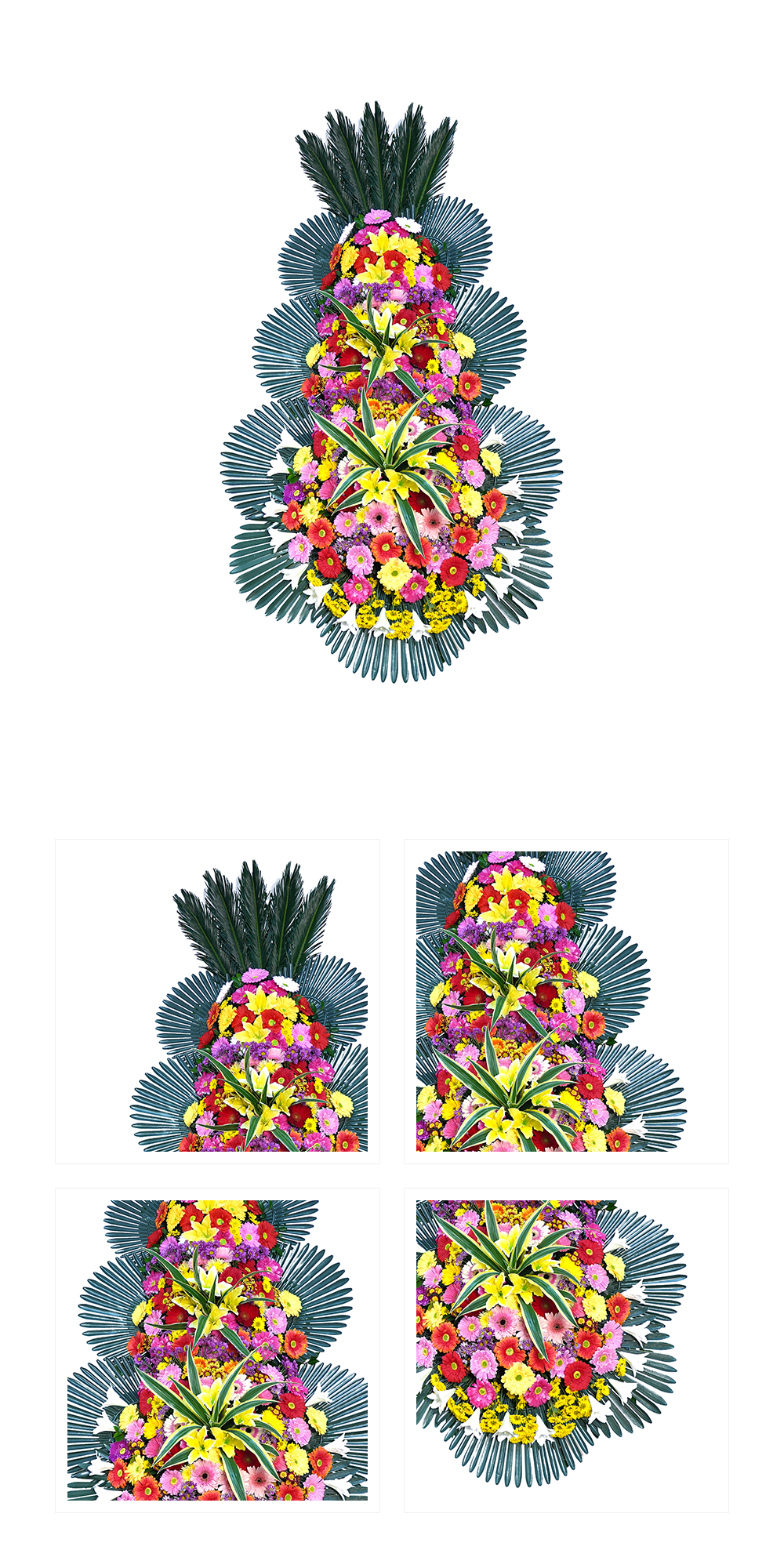 01_003.png 01_003.png