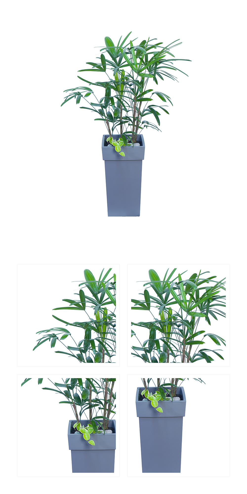 06_008.png 06_008.png